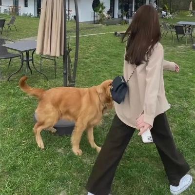 复仇之溪